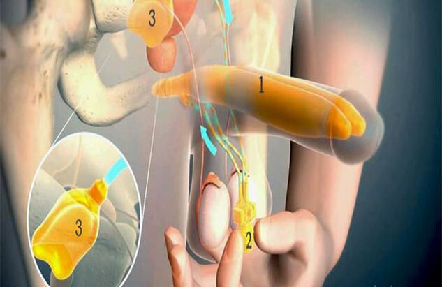 Lipofilling activity