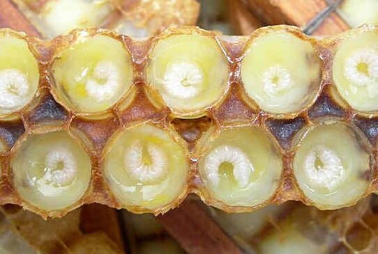 Royal jelly helps speed up penis growth